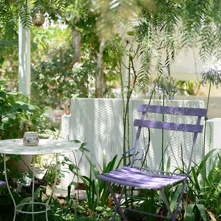 Giardino Segreto - Via Foria 216 Ammezzato 아파트